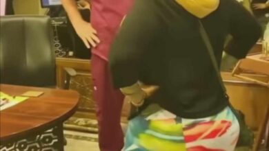 364186005 304187802085537 5517018814417333198 n