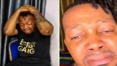 IMG ٢٠٢٣٠٧٢٤ ١٠٥٣٤٠