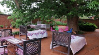 366550813 1949726625397182 8409350334502497001 n