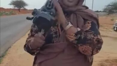 367406974 1623305614746408 4826867913490571849 n