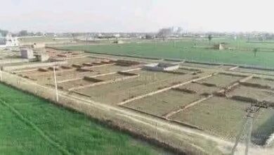 368252992 306827928672940 5829026491667792400 n