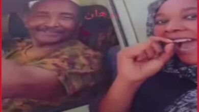 369026915 240494735631735 5653733726771181656 n