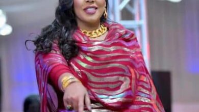 369195511 1944785552569907 1419844308434672749 n