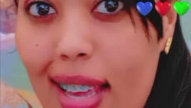 371261307 333242325943781 4943466285123199997 n