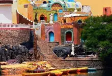 مهرجان أسوان لأفلام المرأة يكرم مخرجة بولندية مرشحة للأوسكار 46 aswan egypt