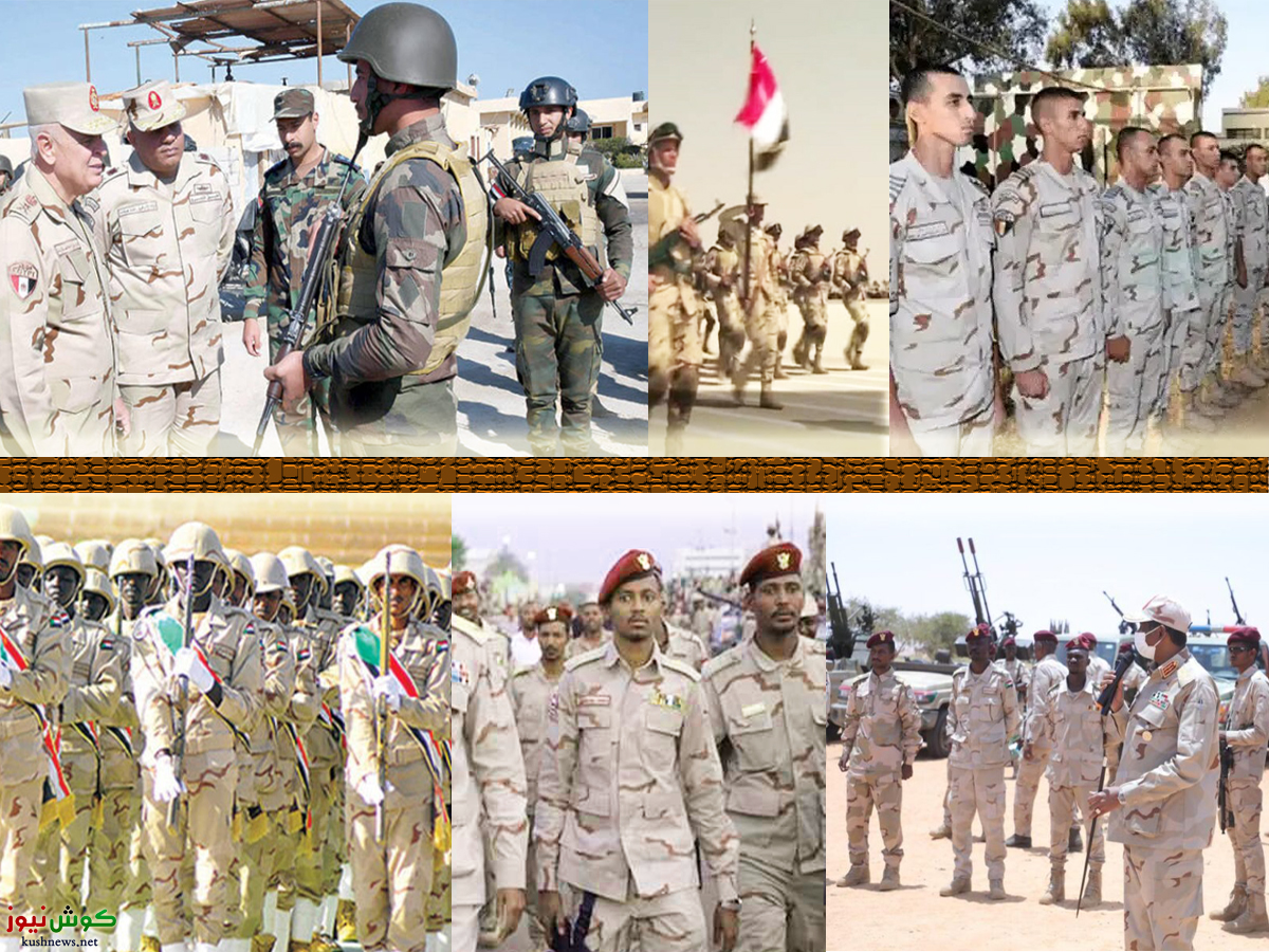 الشبه بين زي الجيش المصري وزي قوات الدعم السريع – القصة الكاملة 10 rsf sudan 13