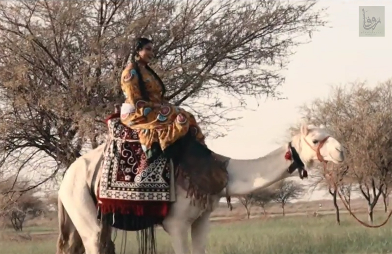 وزير الداخلية المكلف يلتقى بمكتبه وفد تنسيقية الرزيقات بالداخل والخارج 10 turath nln2