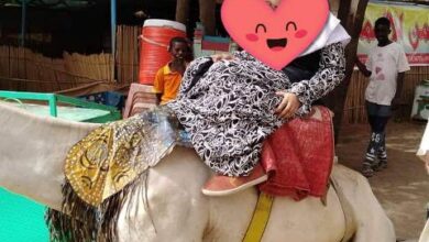 حسناء الجبل