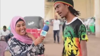 373082238 630113205926855 4655024628749658231 n