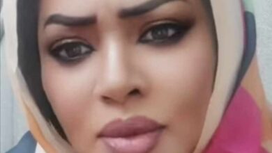 377785846 775252927687475 2077333730991514905 n