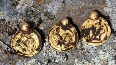 IMG ٢٠٢٣٠٩٠٩ ٠٩٠٢٢٠