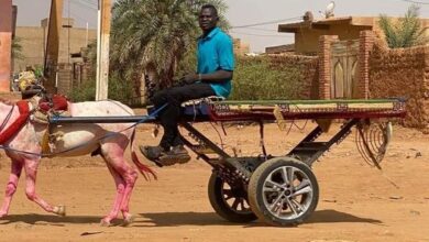 385778641 343025121617400 574550164922175364 n