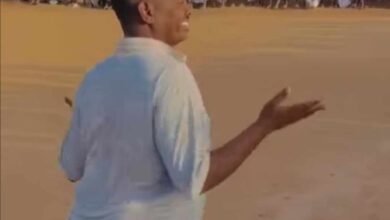 387323668 1318292968880761 9167903352652800047 n