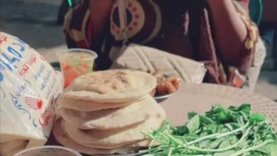 394231263 1773461089783089 5505560295440570688 n