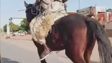 394771859 1353788761902962 4682135755929967475 n