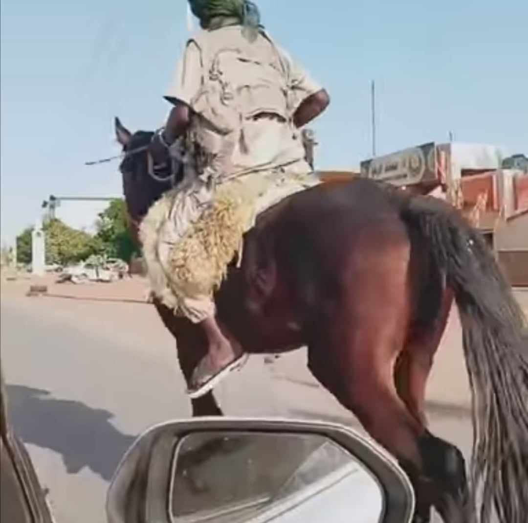 شاهد بالصورة والفيديو.. أفراد الدعم السريع يستبدلون "التاتشر" بالخيل.. "دعامي" يتجول في العاصمة وهو على ظهر فرس يزعم أنه أخذه من داخل القيادة وساخرون: (غنائم نادي الفروسية ظهرت) 10 394771859 1353788761902962 4682135755929967475 n