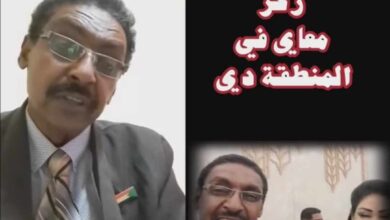 395791268 1476859729804881 1042886976218519384 n