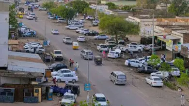 نيالا