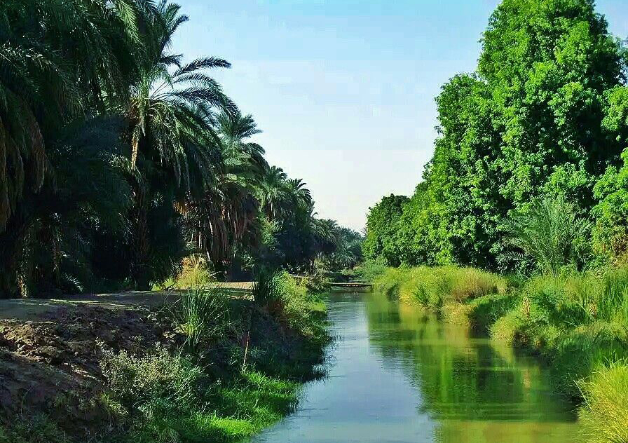 الشمالية تدشن توزيع الدعم النقدي المباشر للأسر الفقيرة 11 shamalia 2