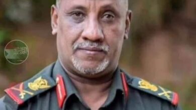 اللواء ايوب