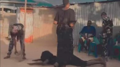 371521071 191766237236576 2705178779167675325 n