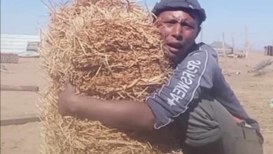 400048065 362973776171934 7567305718180942261 n