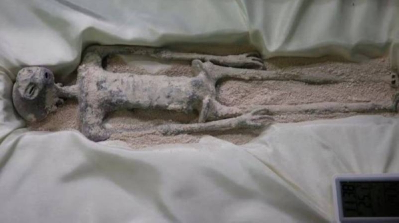 "لسنا وحدنا في الكون".. الكشف عن نتائج تحليل حمض نووي جديد ل "الكائنين الفضائيين"المحنطين في المكسيك 10 فضاء