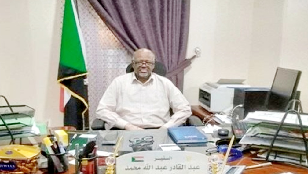 قنصل السودان اسوان