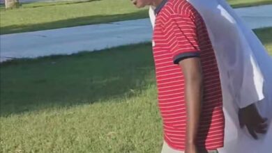 400953638 1541723796569859 4402463531667751734 n