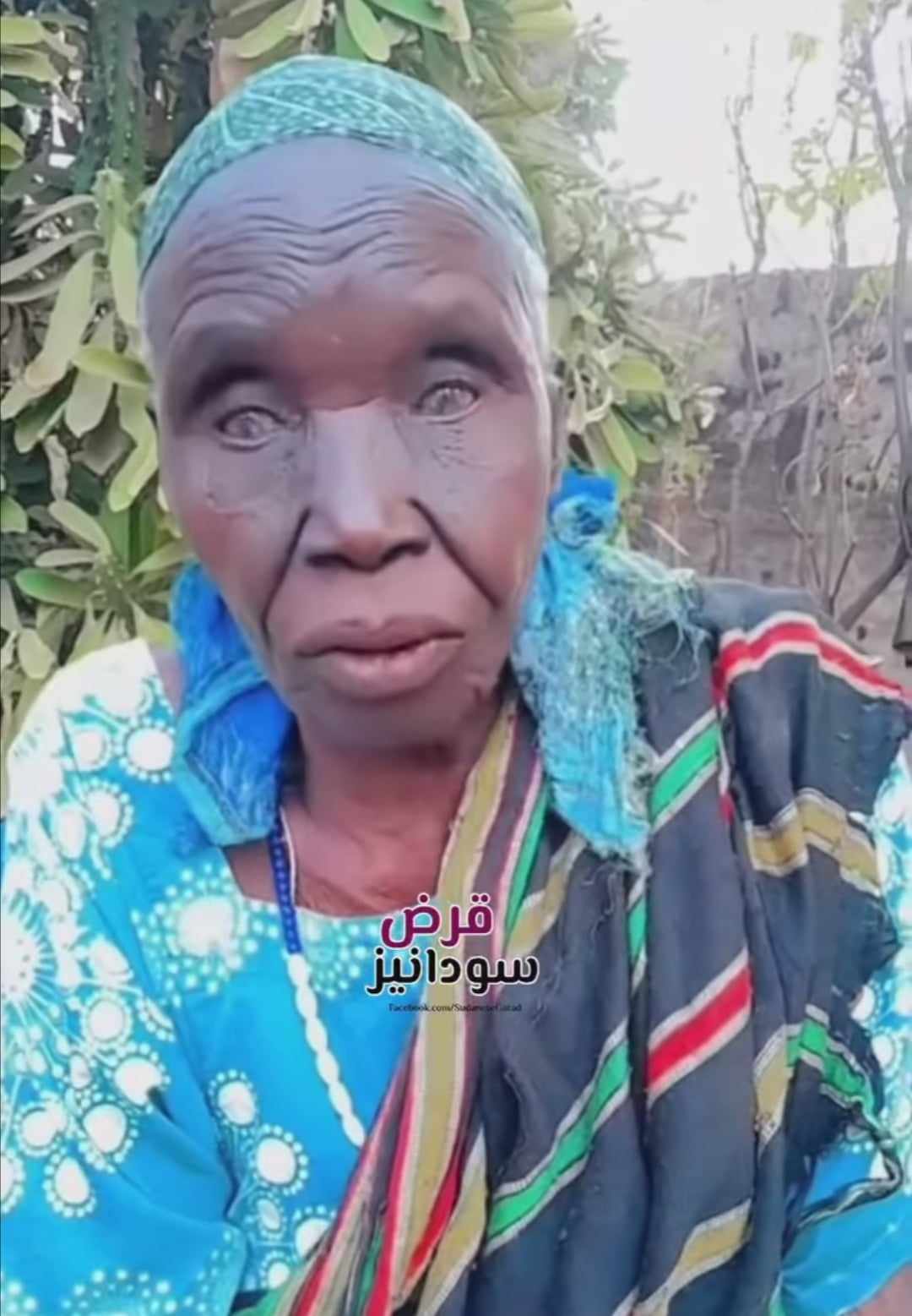 403402582 1360070884650210 5045952248389877252 n