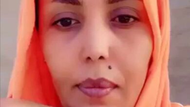 405578287 337600192351750 8215543529626044987 n