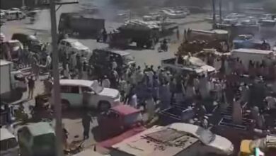 410830231 727495282336244 6671331111176389624 n