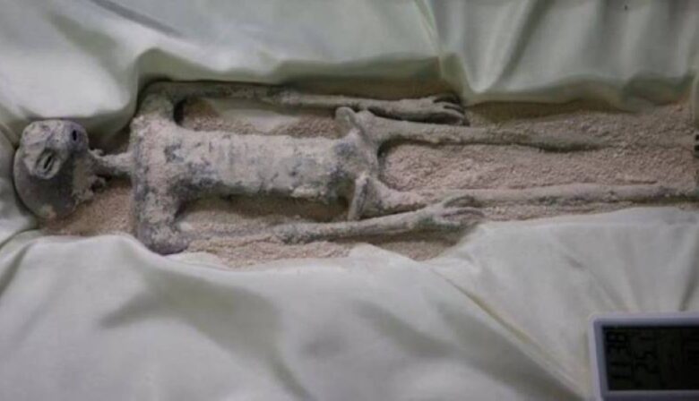 "لسنا وحدنا في الكون".. الكشف عن نتائج تحليل حمض نووي جديد ل "الكائنين الفضائيين"المحنطين في المكسيك 1 فضاء