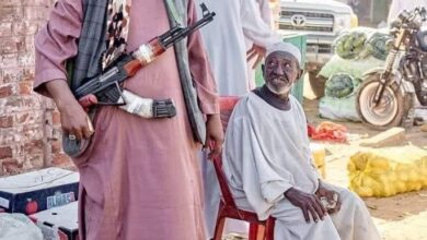 415000287 6925869417520742 7810253267431048130 n