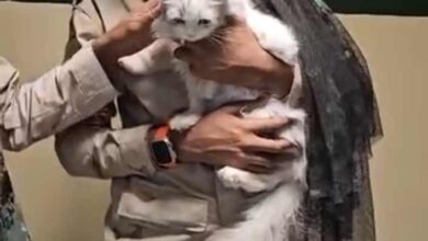 416167422 1442750013120312 64344657289028157 n