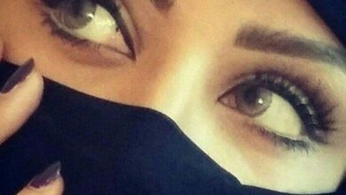 53bcd704b9d289e1d477aa91257bdac5