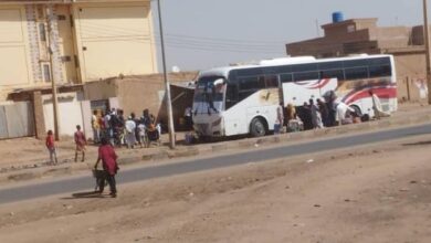 421965990 7683065155081990 7002740598483785553 n