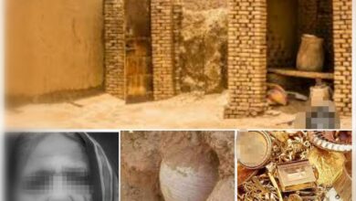 428603898 316397751442999 1923177044492471341 n