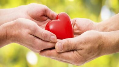 الحياة الزوجية في الإسلام 1 1