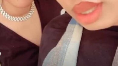 431507240 254231724408691 1941839879630801633 n