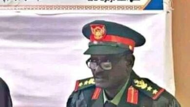 431548745 8111783648838825 7632387721853106 n