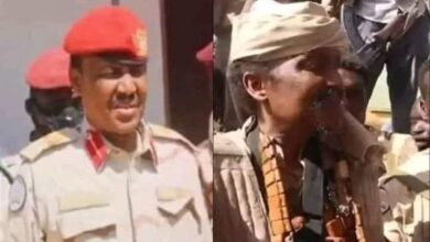 431644393 7010452692399853 1023963477901402788 n