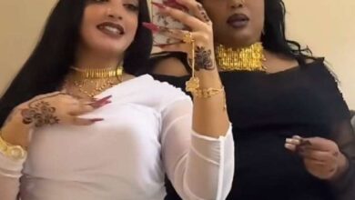 432263920 988950216273391 4648840859680703084 n