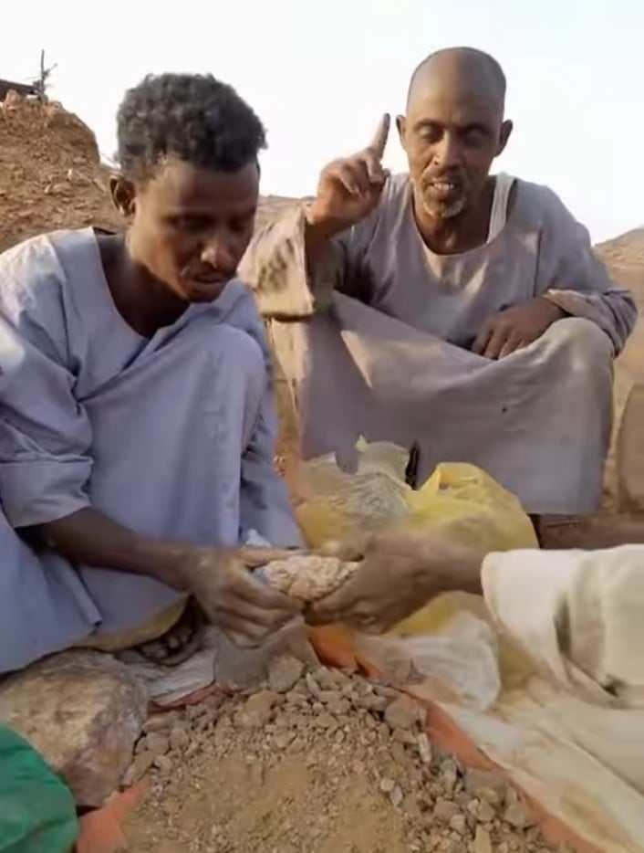 432329001 735981558733912 7612327200168756050 n