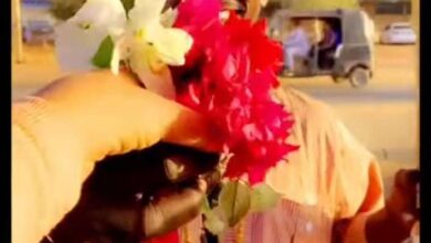 432416165 1196904777944424 5731894859180102019 n