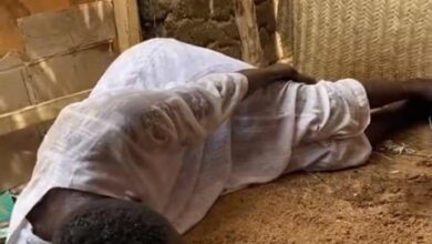 432453460 1082174312878092 3375450175830707629 n