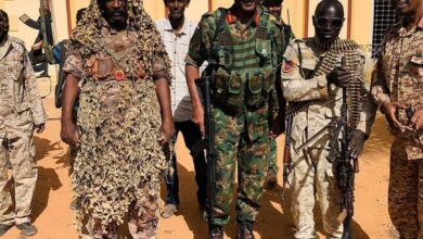 433929931 799773162010100 1853176363680006591 n