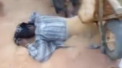 434311023 2764727430346097 4327338689641277234 n