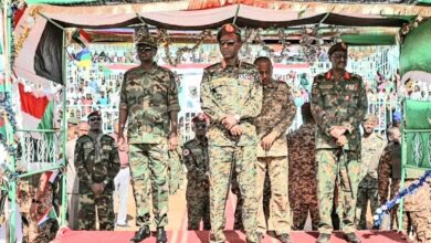 كباشي مناوي