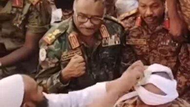 434394241 743920647943726 2848867530025086314 n